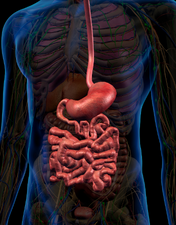 Serviço de Gastrenterologia do CHL inicia estudos funcionais digestivos