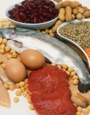 Alimentos fornecedores de proteínas